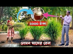 লেমন ঘাসের তেল বেচে আয় ৭ লাখ টাকা। Lemon Grass Farming | Medicinal Herbs। Lemon Grass Oil