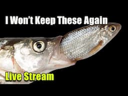 [LIVE]  I Won't Keep These Fish Again + a Fish Q&A!