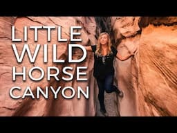 RANDO dans le LITTLE WILD HORSE CANYON, UTAH