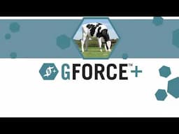 GForcePlus_FR