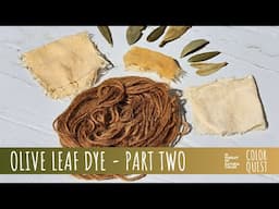 HOW TO SOLAR DYE WITH OLIVE LEAF - PART 2 | ORGANIC COLOR | GOLD ORANGE |  SIFNOS SANTORINI GREECE