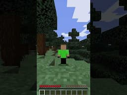 The worst Minecraft speedruns ever, probably