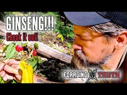 Ginseng Hunting 2024 in Pennsylvania #foraging #nature #appalachia