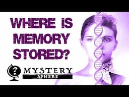 Cellular Memory - Personality Changes After Organ Transplant - MYSTERY SPHERE