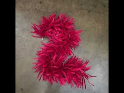 LIMITED EDITION Tango Red Bleach-Dyed Rooster Coque Tail Feather Boa