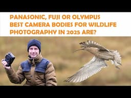 BEST CAMERA BODIES FOR WILDLIFE PHOTOGRAPHY-PANASONIC, FUJI OR OLYMPUS?