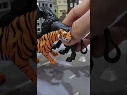 Tiger vs Horse