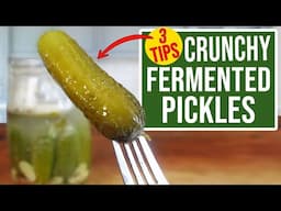 3 TIPS for making FERMENTED PICKLES CRUNCHY!