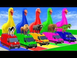 Cow Elephant Lion Gorilla Tiger T-Rex 5 Giant Duck Cartoon Transfiguration funny animal 2024