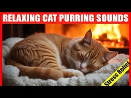 Cat Purring Sound. Comforting Purring Sounds to Relax Cats. Healing Purr by Fireplace.Cat ASMR Music