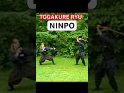 TOGAKURE RYU NINPO TAIJUTSU 🥷🏻 #Shorts #Ninjutsu #MartialArts