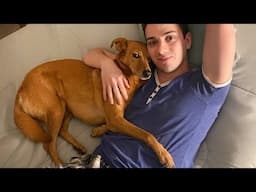 When your dog becomes a part of the family - Funny Dog and Human