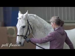 Master Instructor Melanie Bulmahn with variations on lunging