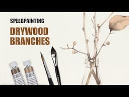 Drywood minimal watercolour illustration speedpaint ✎ CurtisSheeran