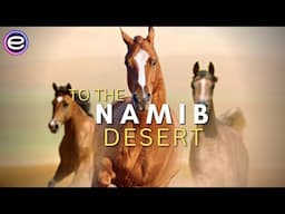 Africas Wild West -  Stallions Of The Namib Desert | Wild Africa