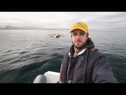 Epic Whale Watching - WILDLIFE PHOTOGRAPHY