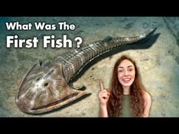 If we all came from fish, where (or what) did fish come from? GEO GIRL