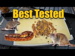 Best Mouse Rat and Snake Trap Combo