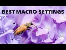 The Best Camera Settings for Macro and Close-Up Photography