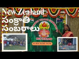 New Zealand lo Sankranthi sambaralu