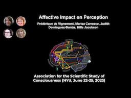 Symposium: Affective Impact on Perception | ASSC26