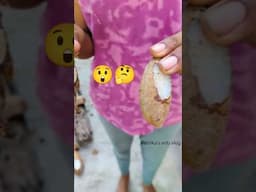 Smallest #coconut 🤔 || ఇంత చిన్న కొబ్బరికాయలు కూడా ఉంటాయా 😲