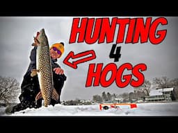 Michigan Pike SPEARING in DEEP WATER | HOG HUNT