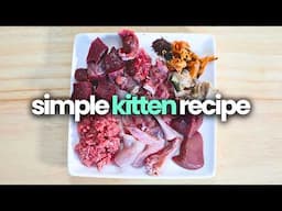 Simple Raw Food Recipe For Kittens