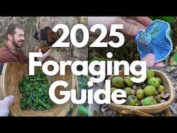 2025 Foraging and Identification to Mushrooms and Plants!