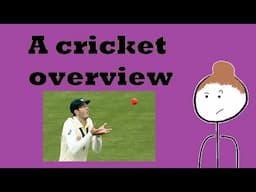 How To Play Cricket (The Basics & Rules)