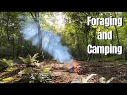 Foraging Walk and Camping out in the Woods