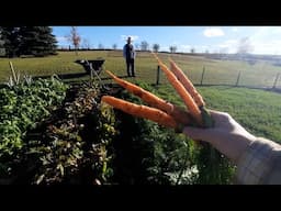 Fall Garden Tour & the Secret to the Best Carrots We Have Ever Grown!