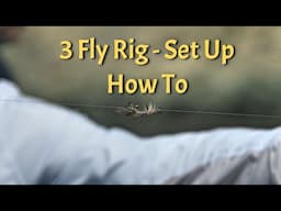 3 Fly Rig Setup