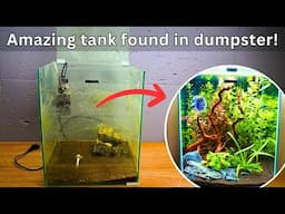 Amazing Betta Tank from a DUMPSTER?! Great story and Epic Planted Aquascape Tutorial!