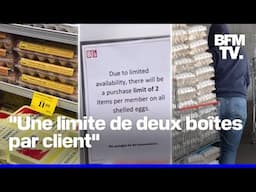 Prix en hausse, nombre de boîtes limité par client… Pourquoi les Américains se ruent sur les œufs