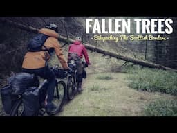 Fallen Trees - A Scottish Border Bikepacking Adventure