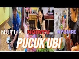 Mengambil❗Memproses❗Memasak Pucuk Ubi, Kerja Sama Satu Family 🤩😍