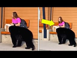 Bear Approaches Woman At Bus Stop. She Follows It & Bursts Into Tears Upon Seeing...