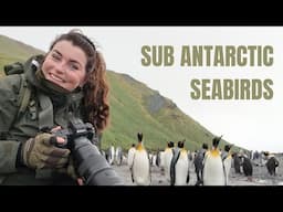 Wildlife Photography in Sub-Antarctic New Zealand and Australia