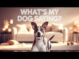 Dog Body Language Explained:  What Your Pet is Trying To Tell You