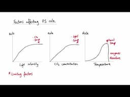 AQA GCSE - B8 Photosynthesis OVERVIEW