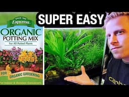 Setup a Fish Aquarium Using Dirt Potting Soil