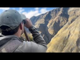 Bull Tahr Hunting New Zealand | 2023 Teaser