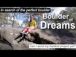 Fontainebleau Bouldering - My Dream Boulder!