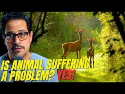 Why does God let animals suffer? | Bible Night Live (Ep. 3)