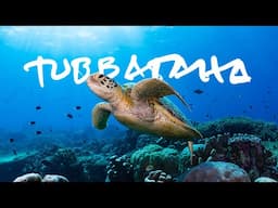 Diving Philippines' Crown Jewel: Tubbataha Reefs // Life, Uncharted Ch. 01 [Documentary]