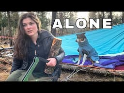 Solo Survival Camping - No tent, Coyotes & Bushcraft