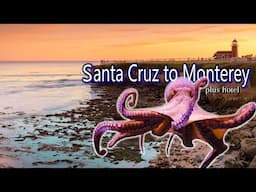 Santa Cruz's collapsed wharf, Beach Street Inn, Monterey, and more!