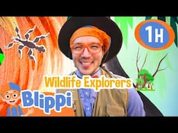 Blippi Explores The Zoo | Blippi | Family Time! 👨‍👩‍👦 | MOONBUG KIDS | Family Cartoons