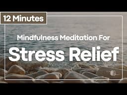 12 Minute Breathing Meditation For Stress Relief | An Easy Breath Focused Mindfulness Meditation